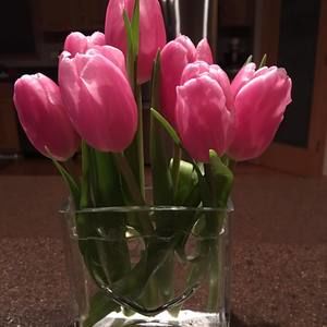 Meet your Posher, Rebecca